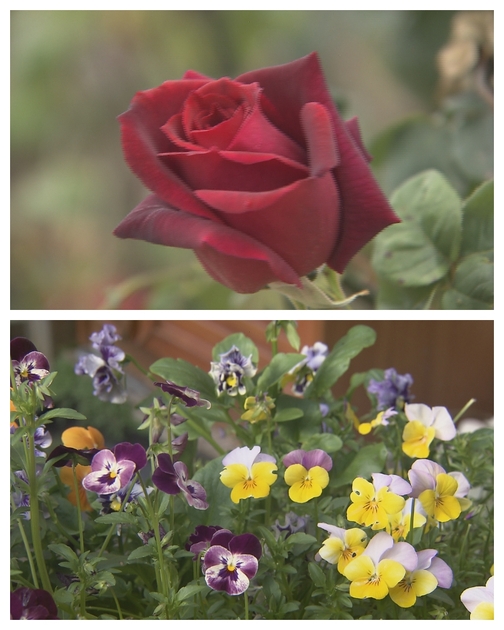 アナウンサールーム・小林 沙貴/日本海テレビ