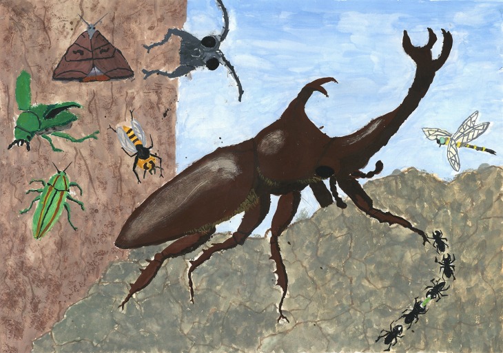 ぶっピィ賞　濱田朔迅さん（安来市・小３）