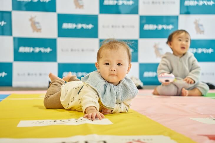 ハイハイレース