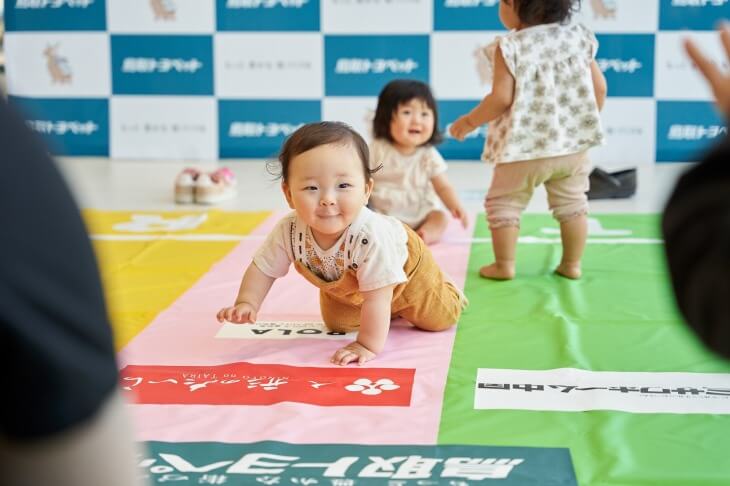 ハイハイレース