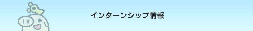 インターンシップ案内