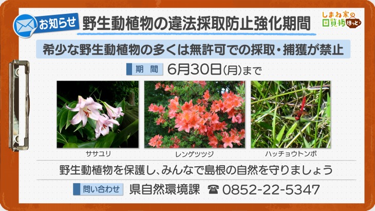 野生動植物の違法採取防止強化期間
