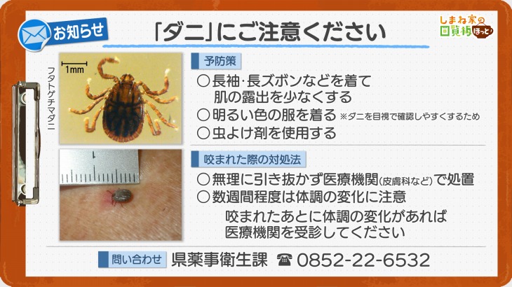 「ダニ」にご注意ください