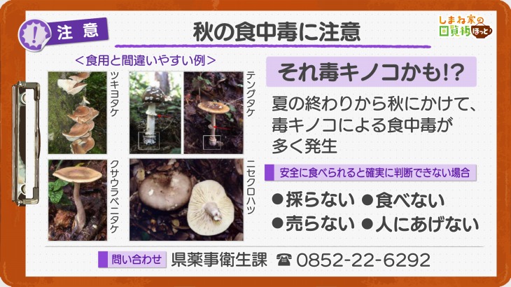 秋の食中毒に注意