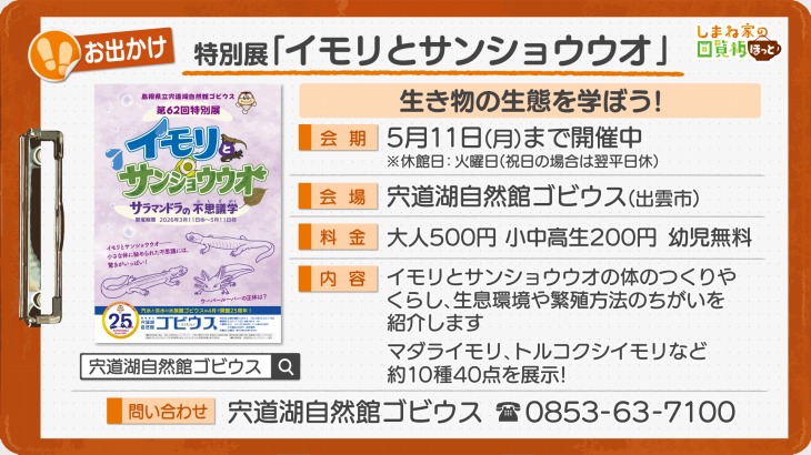 特別展「イモリとサンショウウオ～サラマンドラの不思議展～」