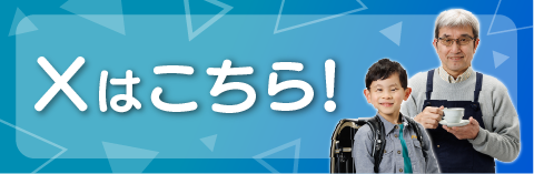 公式X
