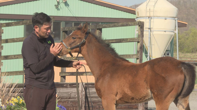 ②母馬は約１億円！？2