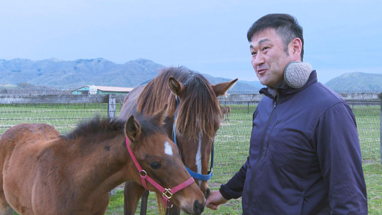 競走馬の競り1