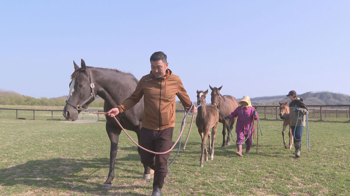 競走馬の育成牧場編