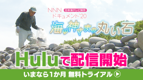 トップページ 日本海テレビ